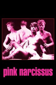 Pink Narcissus Subs Indo