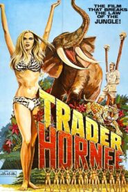 Trader Hornee Subs Indo