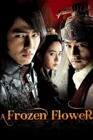 A Frozen Flower (2008) Sub Indo